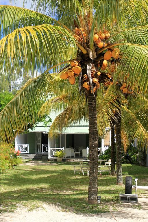 La Case Creole Roches Noires Rum bild